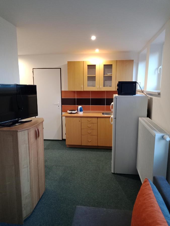 Apartman Obecni Hostinec Provodov (Hradec Kralove) Dış mekan fotoğraf
